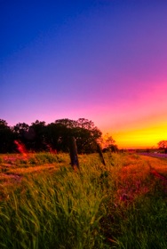 DSC_0663_5_7_9