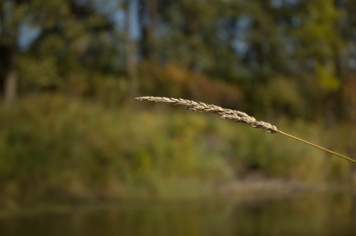 DSC_0021.jpg