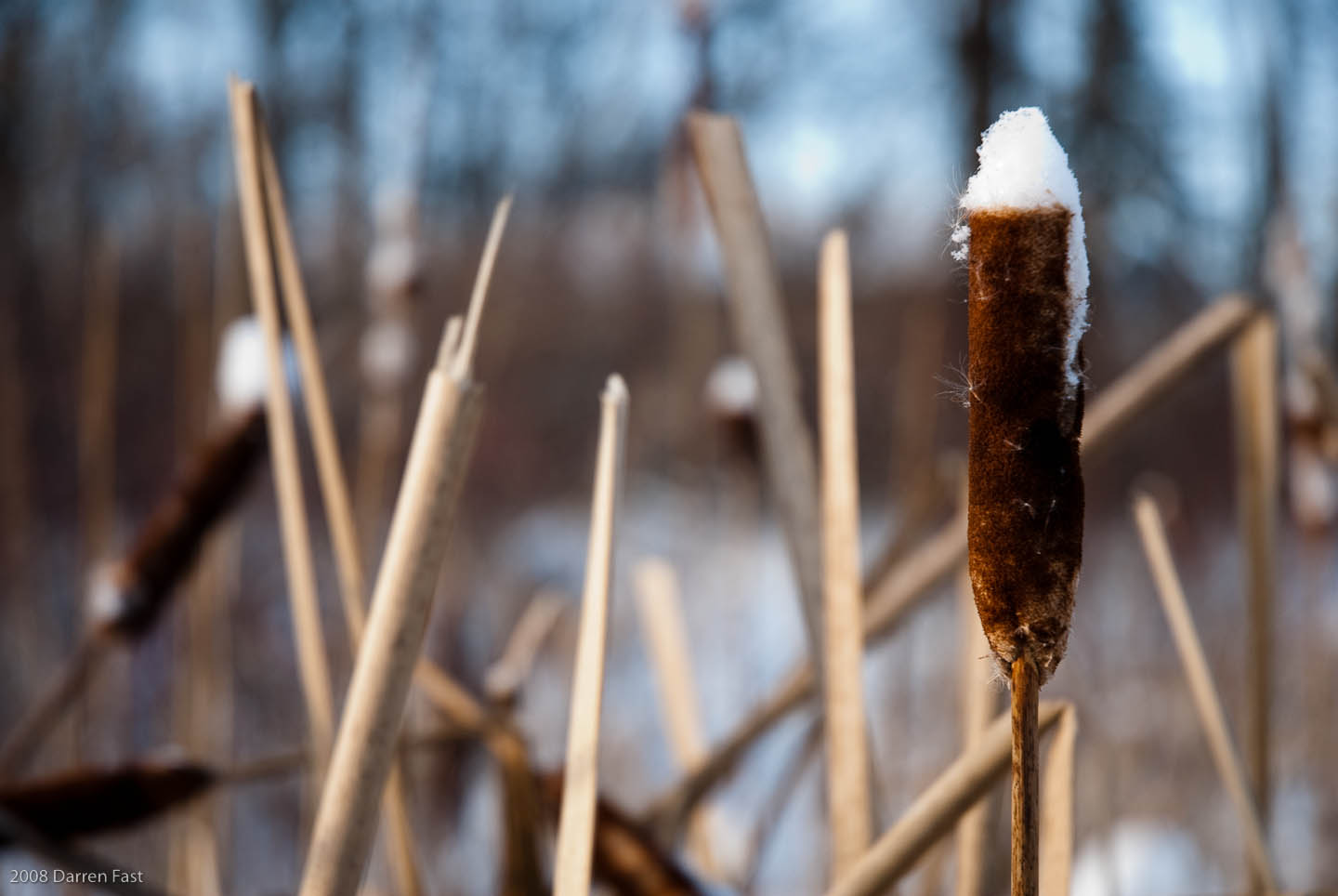 DSC_1041.jpg