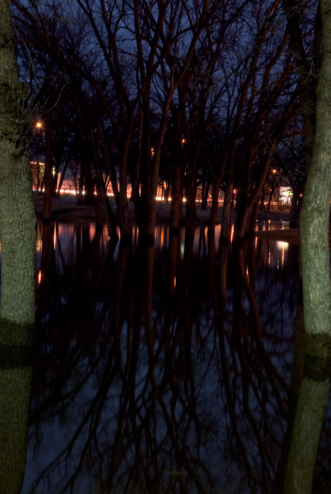 DSC_4609.jpg