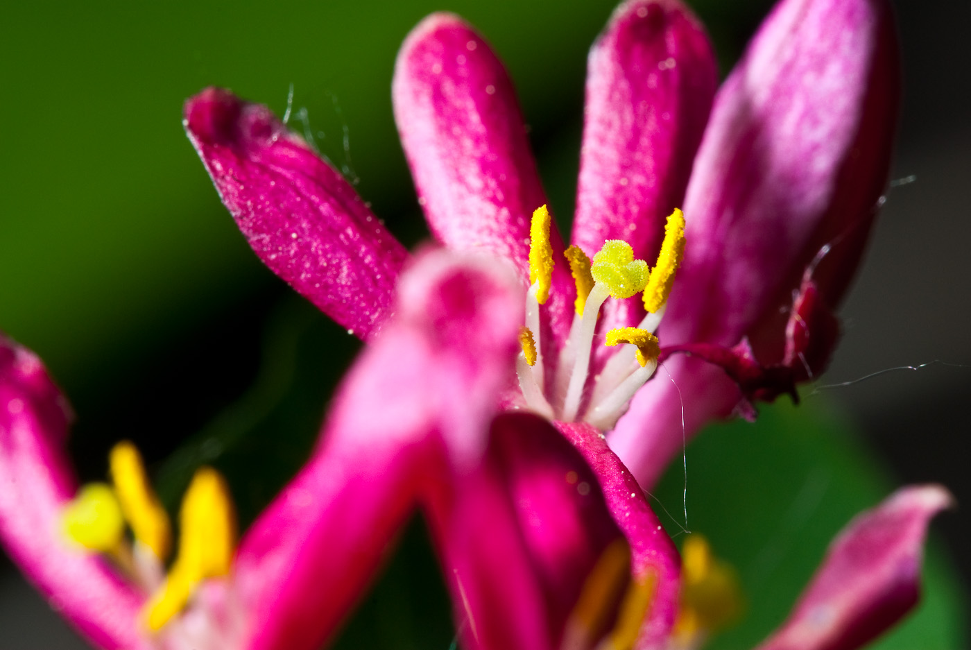 DSC_8167.jpg