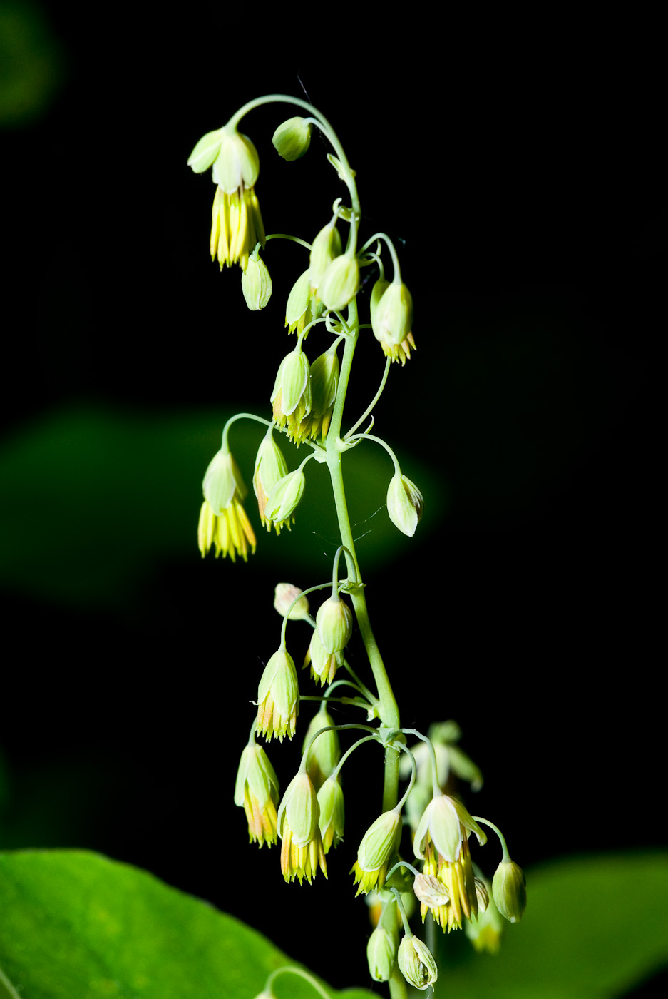 DSC_8194.jpg