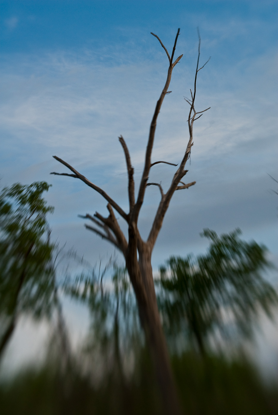DSC_8199.jpg
