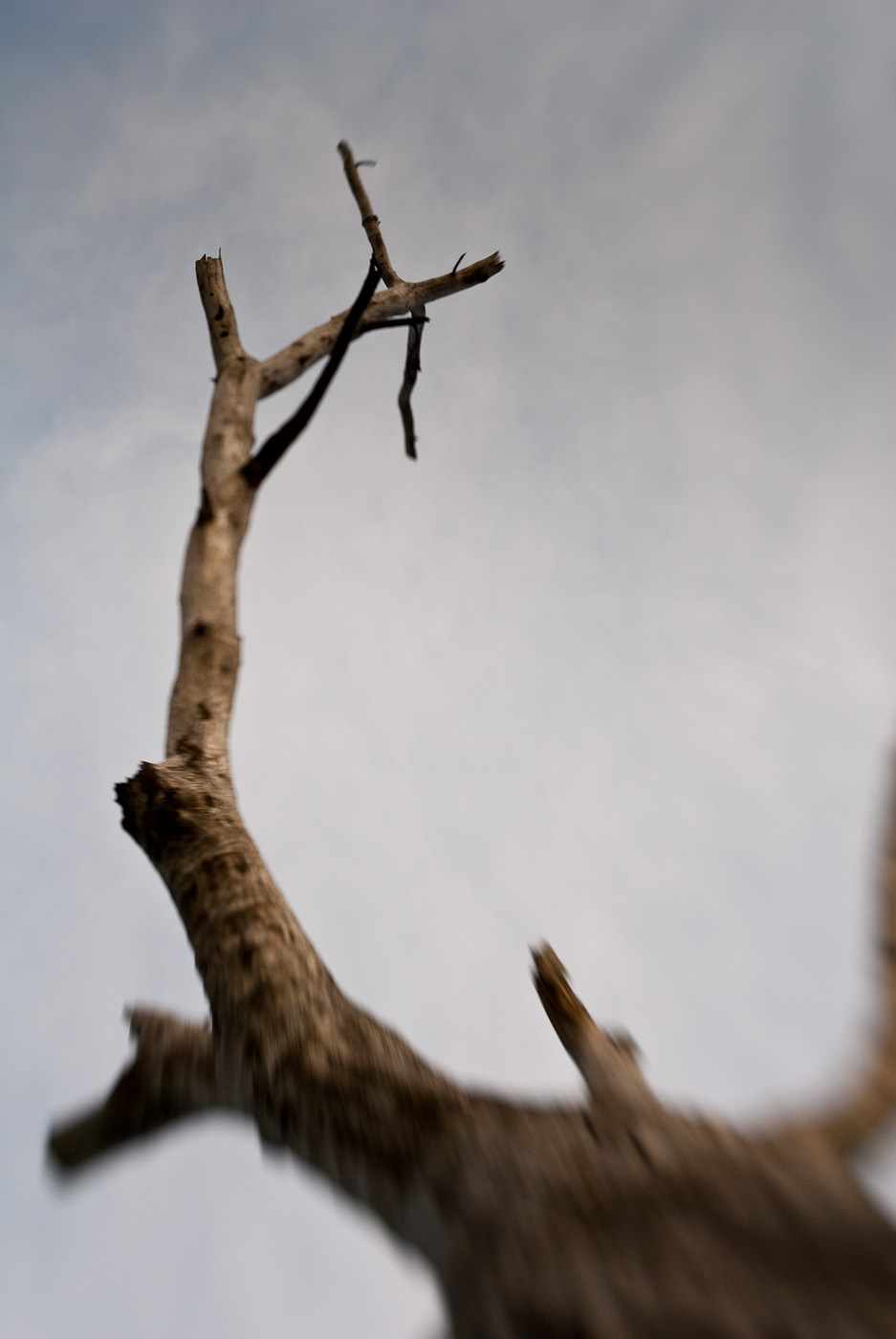 DSC_8214.jpg