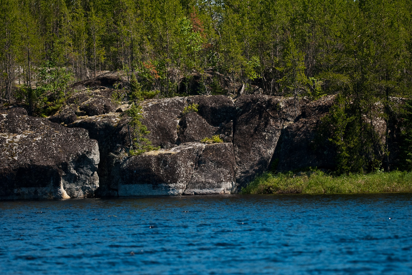 DSC_8539.jpg