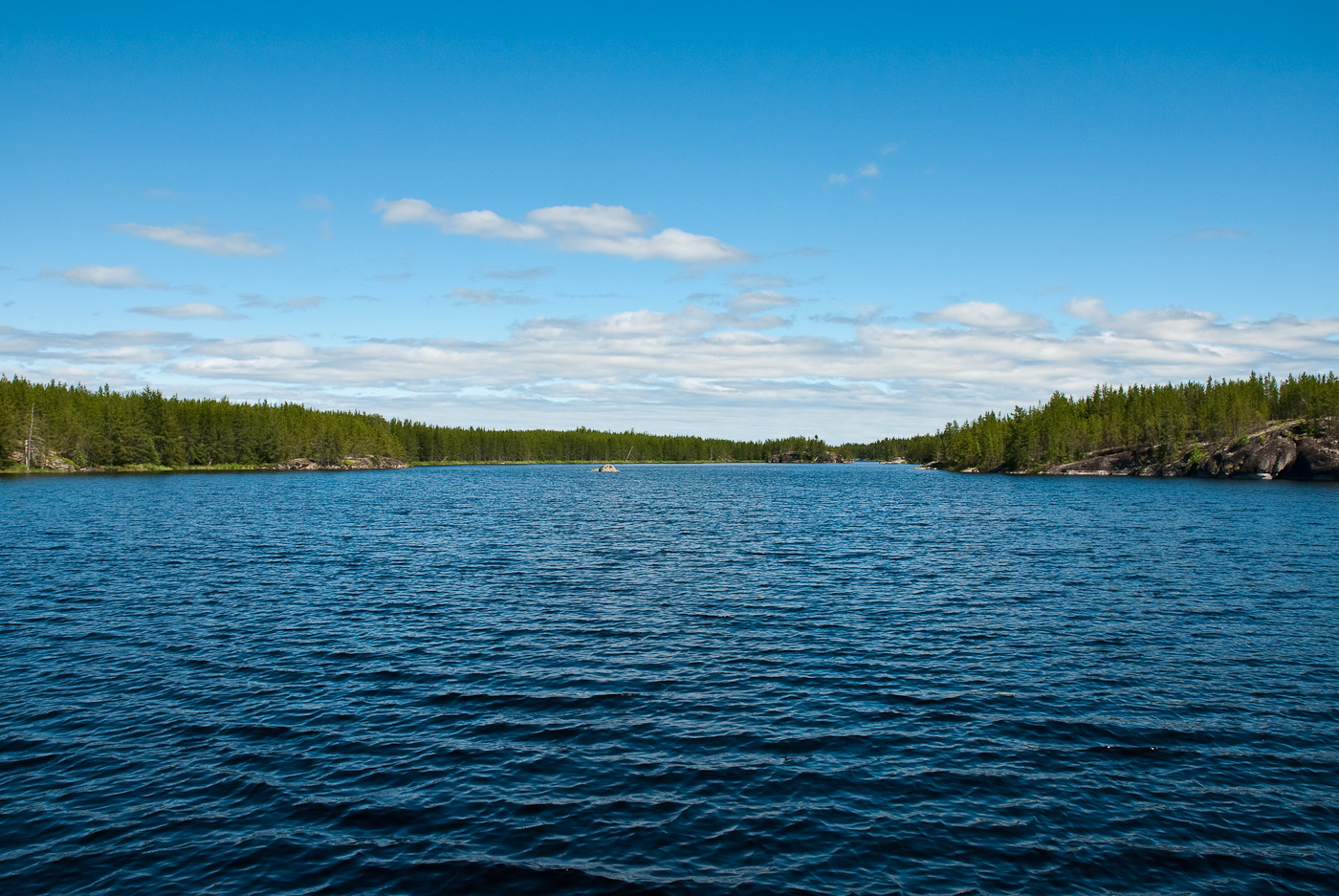 DSC_8542.jpg
