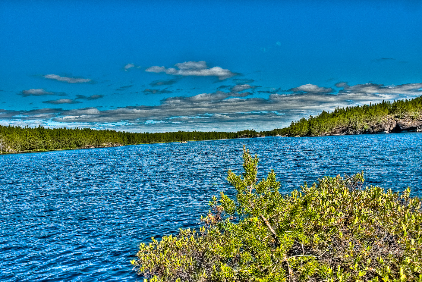 DSC_8544_46_48_50_52.jpg