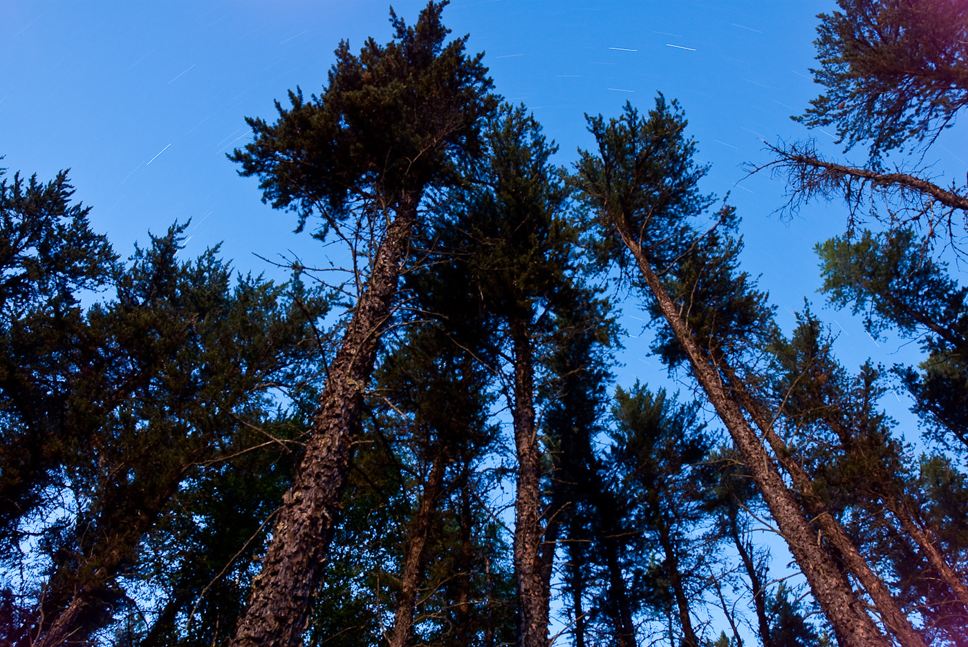 DSC_8667.jpg