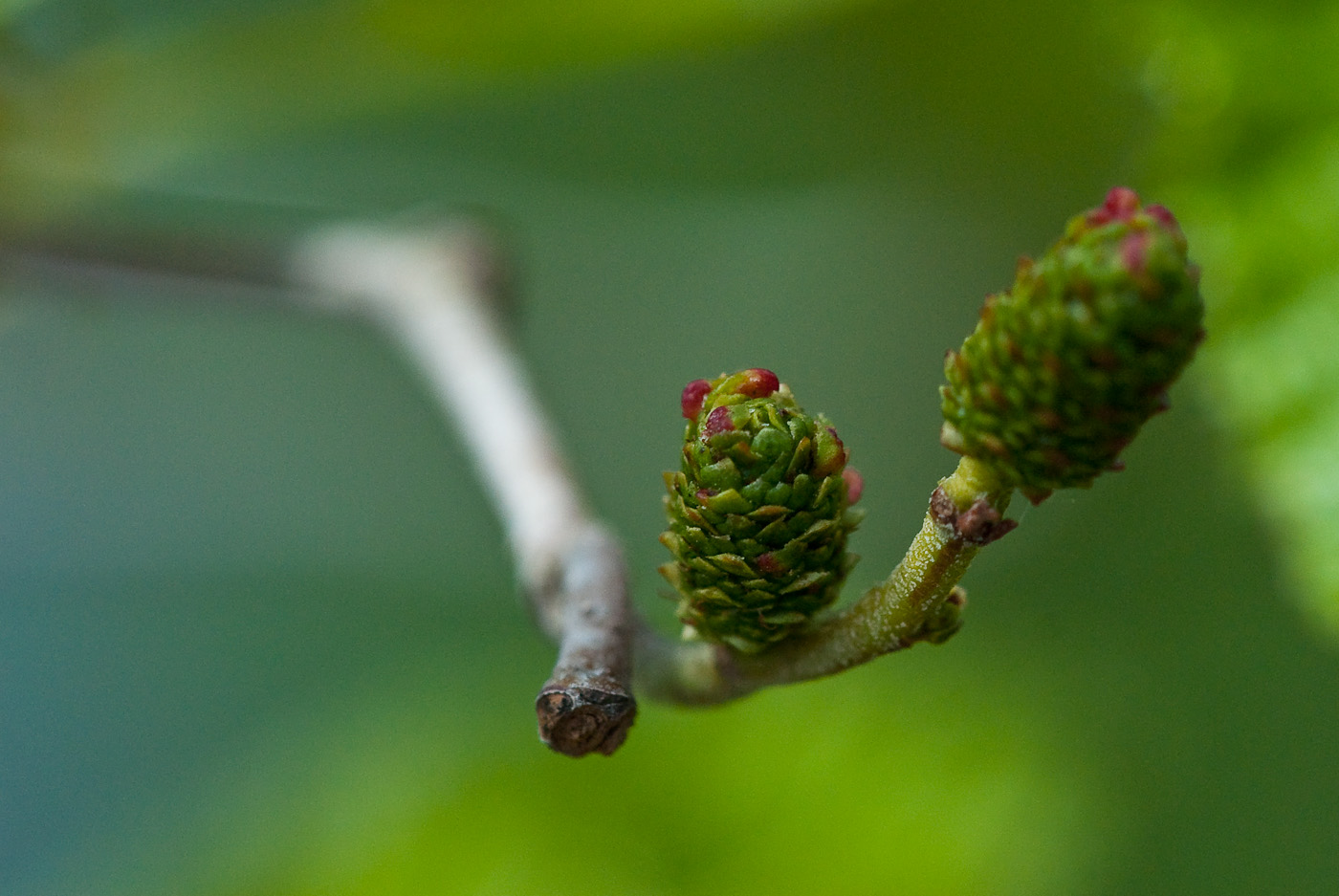 DSC_8701.jpg