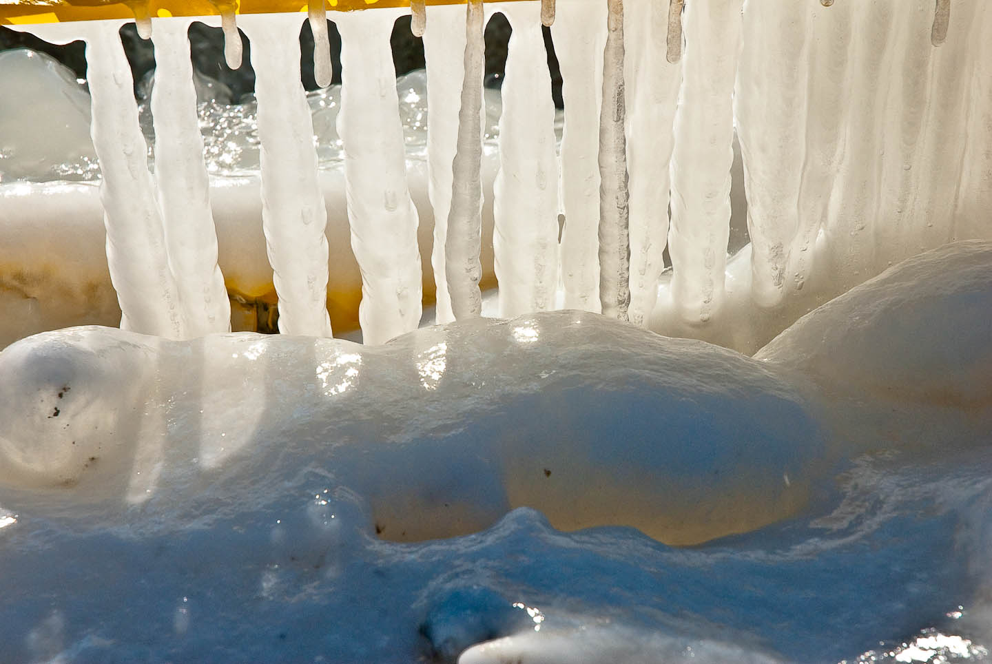 DSC_1783.jpg